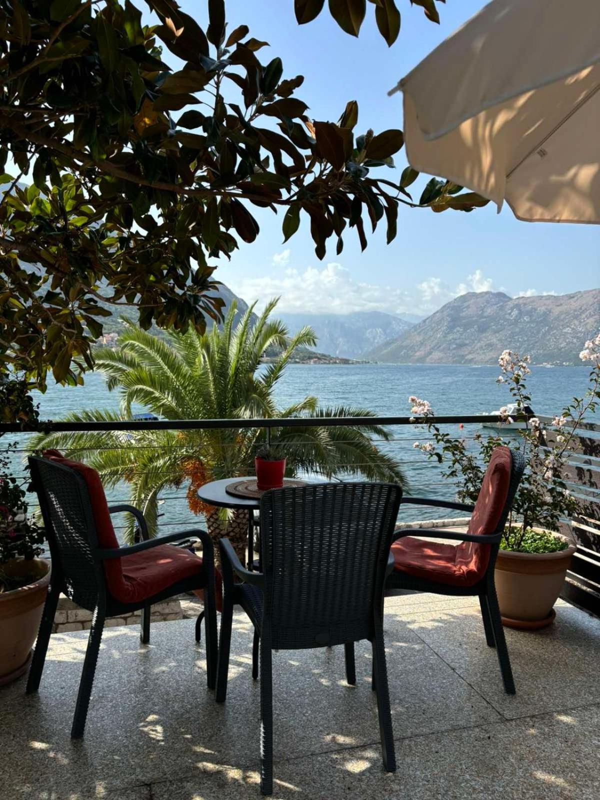 Sunny Bay Apartments Kotor Exteriér fotografie